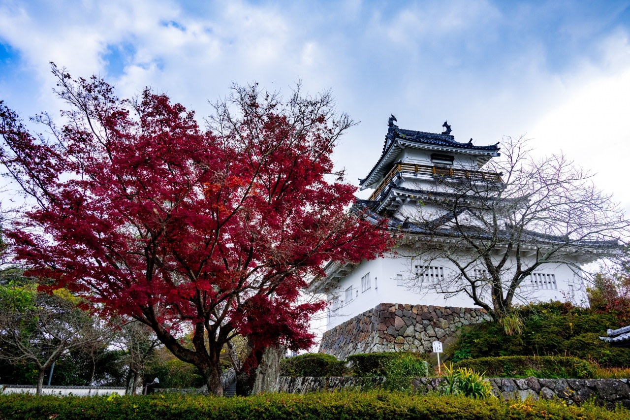 杵築城の紅葉 住吉浜 杵築 大分県 の旅行記 ブログ By 気まぐれなデジカメ館さん フォートラベル