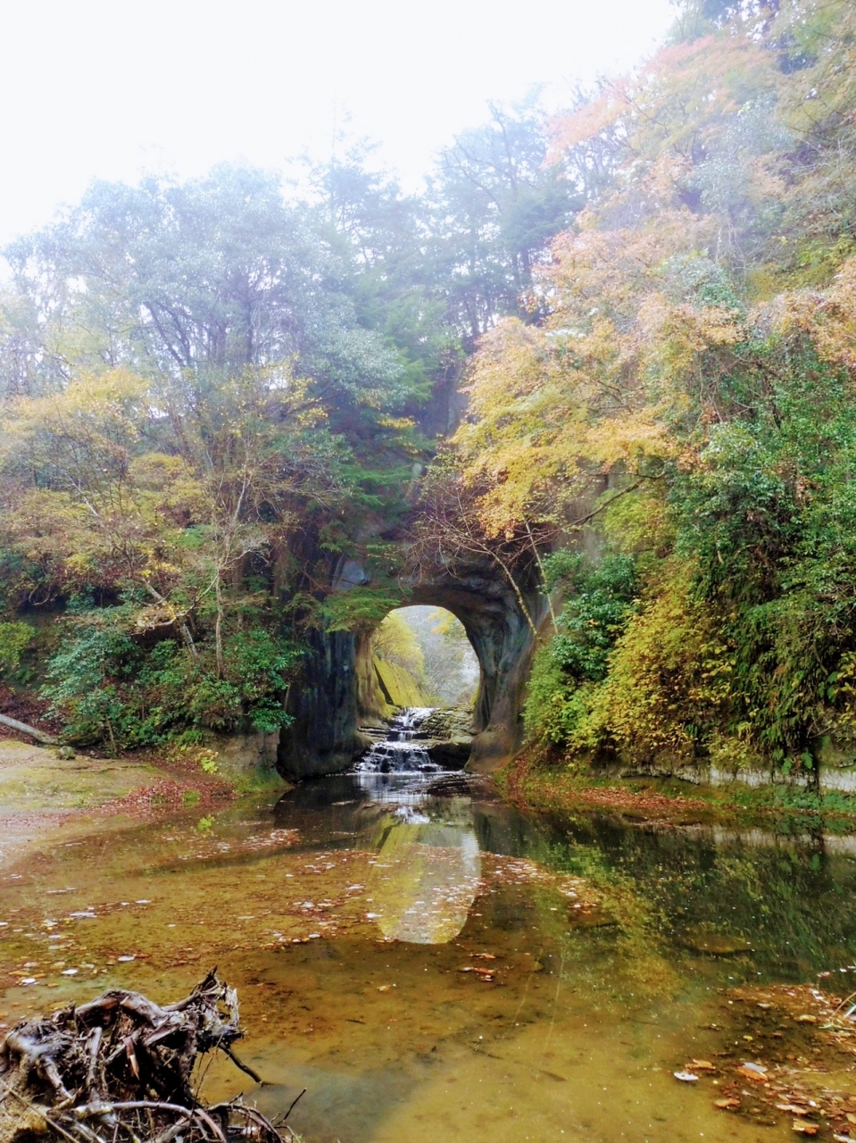 千葉の紅葉めぐり 養老渓谷 千葉県 の旅行記 ブログ By 八千代さん フォートラベル 千葉の紅葉めぐり 養老渓谷 千葉県 の旅行記 ブログ By 八千代さん フォートラベル
