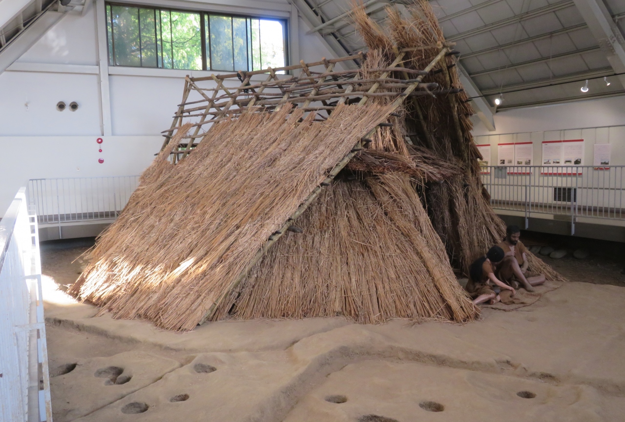 秋 見晴台考古資料館 3 6 11月3日 3 見晴台遺跡 考古資料館 縄文土器 復元された弥生式住居 天白 笠寺 愛知県 の旅行記 ブログ By 旅人のくまさんさん フォートラベル
