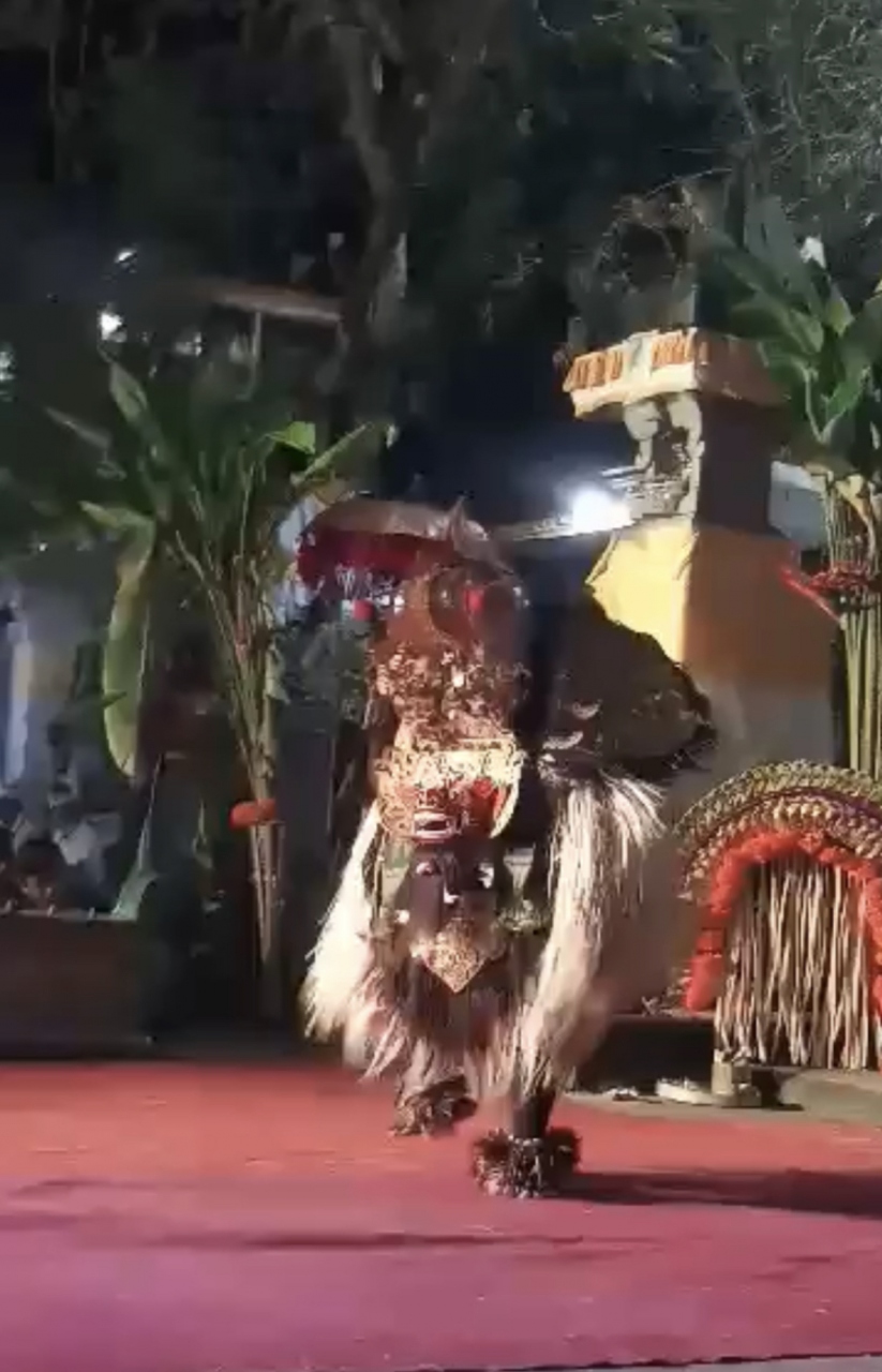 バロンブントゥッ バリ島 インドネシア の旅行記 ブログ By Bali Spiritさん フォートラベル バロンブントゥッ バリ島 インドネシア の旅行記 ブログ By Bali Spiritさん フォートラベル