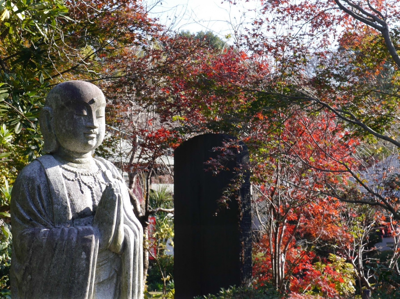 晩秋の興禅院 小林もみじ園 12 03 川口 戸田 蕨 埼玉県 の旅行記 ブログ By 杏仁豆腐さん フォートラベル 晩秋の興禅院 小林もみじ園 12 03 川口 戸田 蕨 埼玉県 の旅行記 ブログ By 杏仁豆腐さん フォートラベル