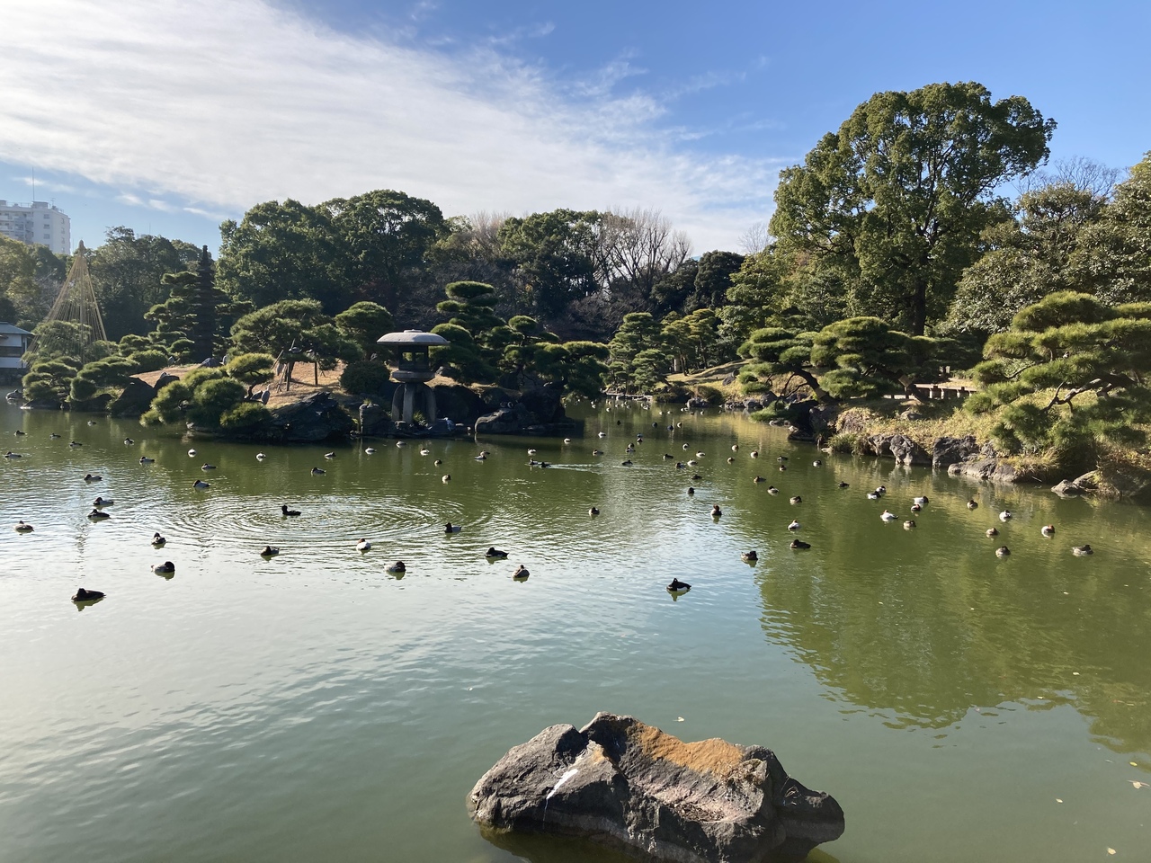 清澄白河から門前仲町を散歩 江戸時代を感じる散歩 深川めし ベーカリー カフェなど 木場 東陽町 清澄 東京 の旅行記 ブログ By Shushutanyさん フォートラベル