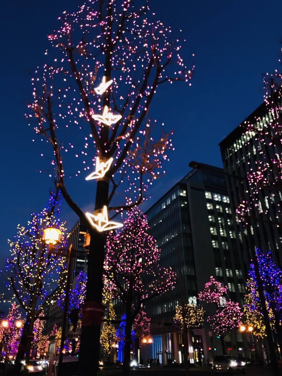 2020 素敵なクリスマスプレゼント 彡 大阪インフィオラータとロンドンナショナルギャラリー展に行ってみた 心斎橋 淀屋橋 大阪 の旅行記 ブログ By りぽちゃんさん フォートラベル 2020 素敵なクリスマスプレゼント 彡 大阪インフィオラータとロンドンナショナルギャラリー展に行ってみた 心斎橋 淀屋橋 大阪 の旅行記 ブログ By りぽちゃんさん フォートラベル