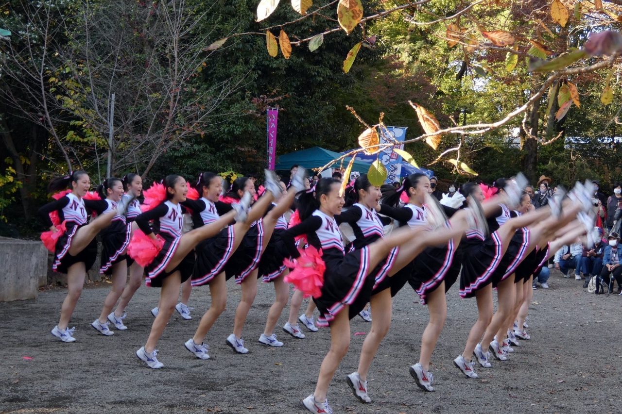 三島市立公園 楽寿園 アオハル高校文化祭 In 楽寿園 チアリーディング全米大会優勝の日大三島高等学校応援部の演技 三島 静岡県 の旅行記 ブログ By ミシマさん フォートラベル 三島市立公園 楽寿園 アオハル高校文化祭 In 楽寿園 チアリーディング全米大会優勝の日大三島高等学校応援部の演技 三島 静岡県 の旅行記 ブログ By ミシマさん フォートラベル
