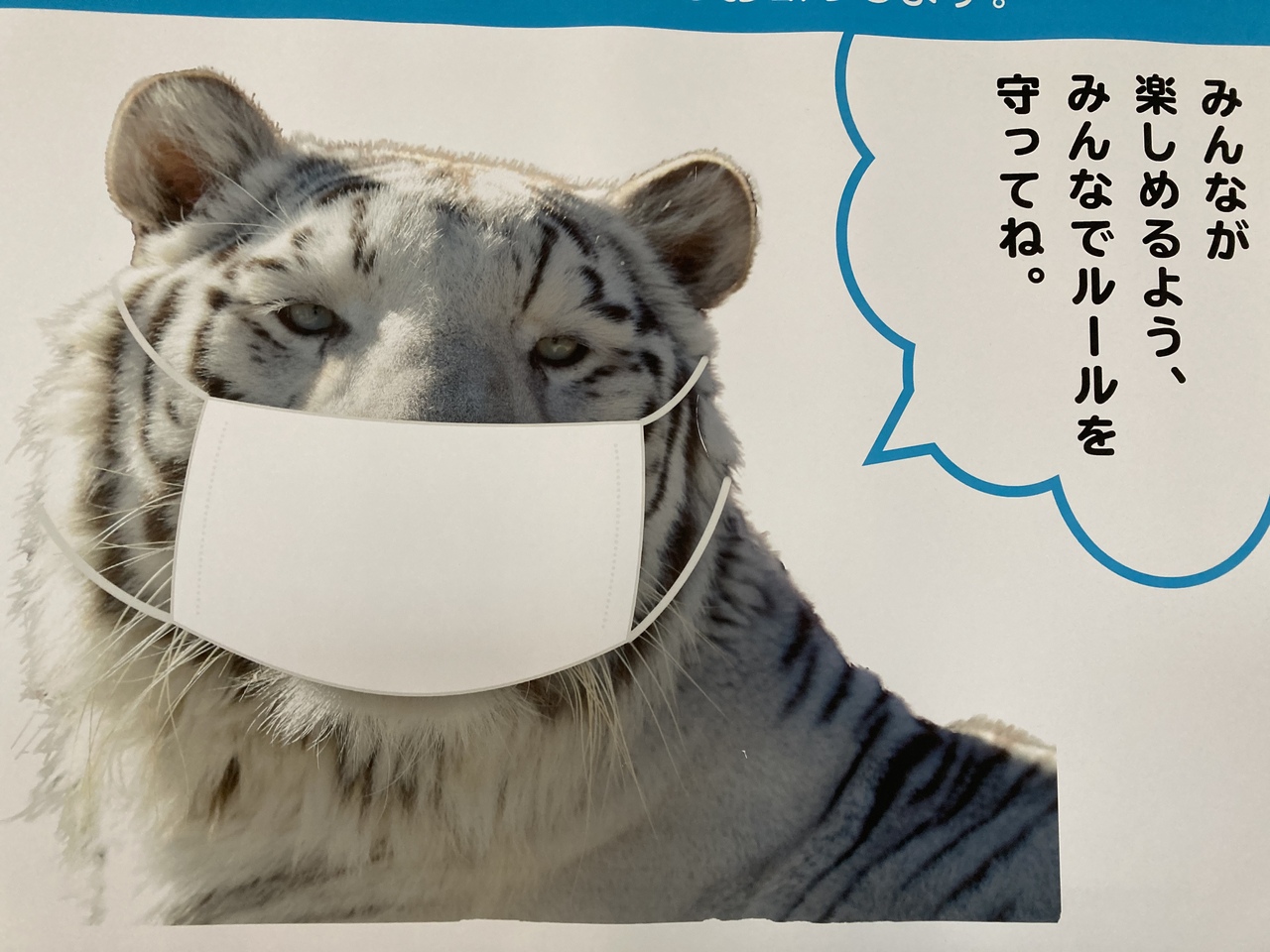 知られていない古墳公園と東武動物公園のイルミネーション 春日部 埼玉県 の旅行記 ブログ By Siniさん フォートラベル