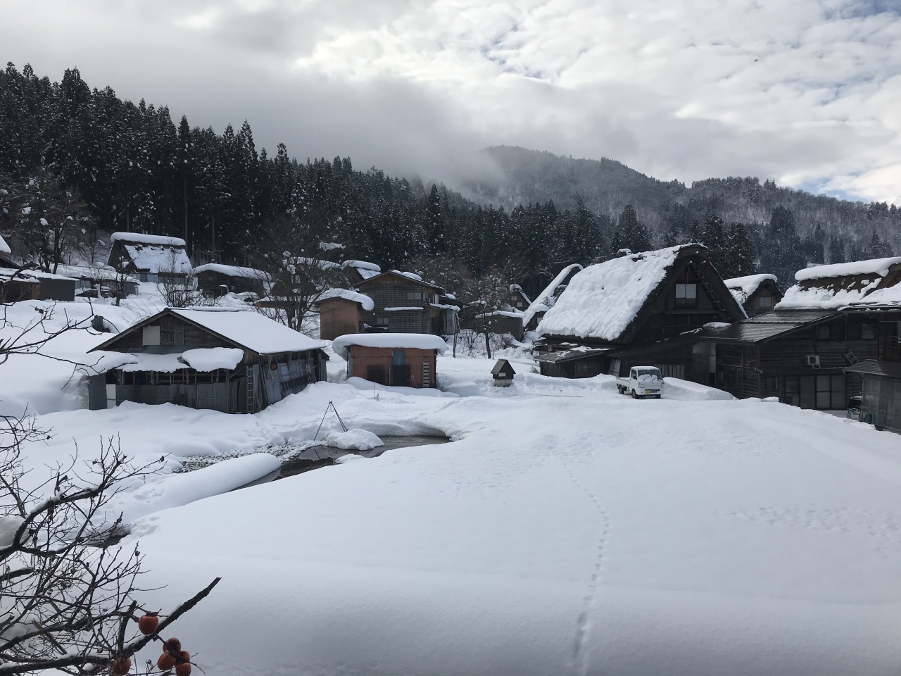 飛騨牛 アワビと富山湾鮨 ブリしゃぶ 白川郷 飛騨高山 こだわりグルメツアー 岐阜編 岐阜県の旅行記 ブログ By Mabuyakunさん フォートラベル 飛騨牛 アワビと富山湾鮨 ブリしゃぶ 白川郷 飛騨高山 こだわりグルメツアー 岐阜編 岐阜県の旅行記 ブログ By Mabuyakunさん フォートラベル