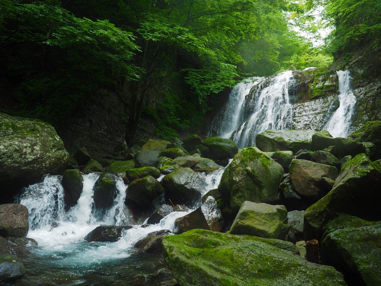 スッカン沢 桜沢 初めての沢装備 矢板 塩谷 栃木県 の旅行記 ブログ By 銭形幸一さん フォートラベル