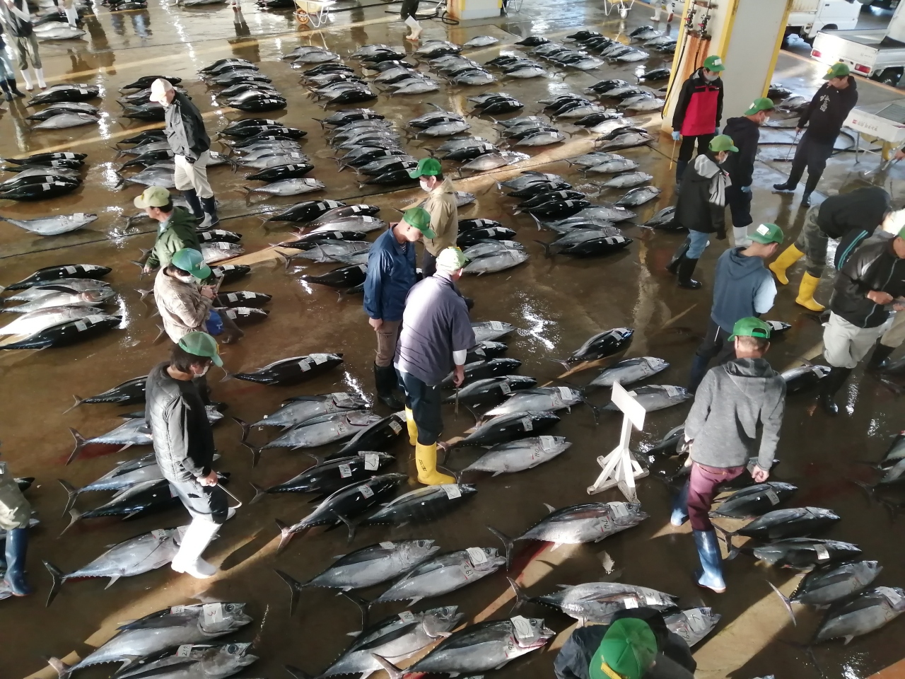 秋の那智勝浦 その2は勝浦漁港魚市場と道の駅 那智勝浦 太地 和歌山県 の旅行記 ブログ By さんじゃさん フォートラベル 秋の那智勝浦 その2は勝浦漁港魚市場と道の駅 那智勝浦 太地 和歌山県 の旅行記 ブログ By さんじゃさん フォートラベル