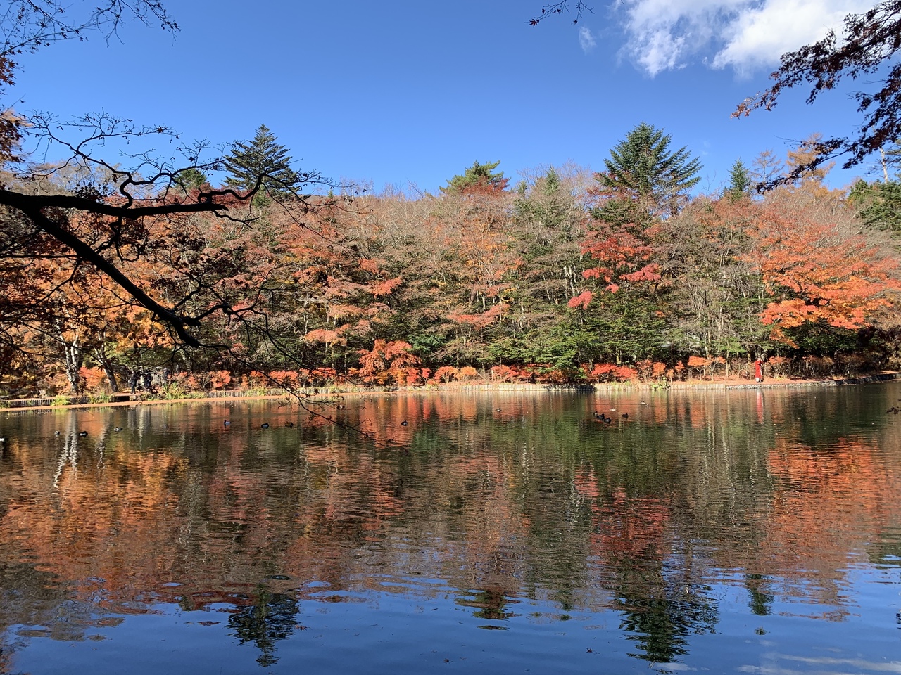 群馬 長野旅行2 軽井沢おもちゃ王国 軽井沢 長野県 の旅行記 ブログ By イチさん フォートラベル 群馬 長野旅行2 軽井沢おもちゃ王国 軽井沢 長野県 の旅行記 ブログ By イチさん フォートラベル