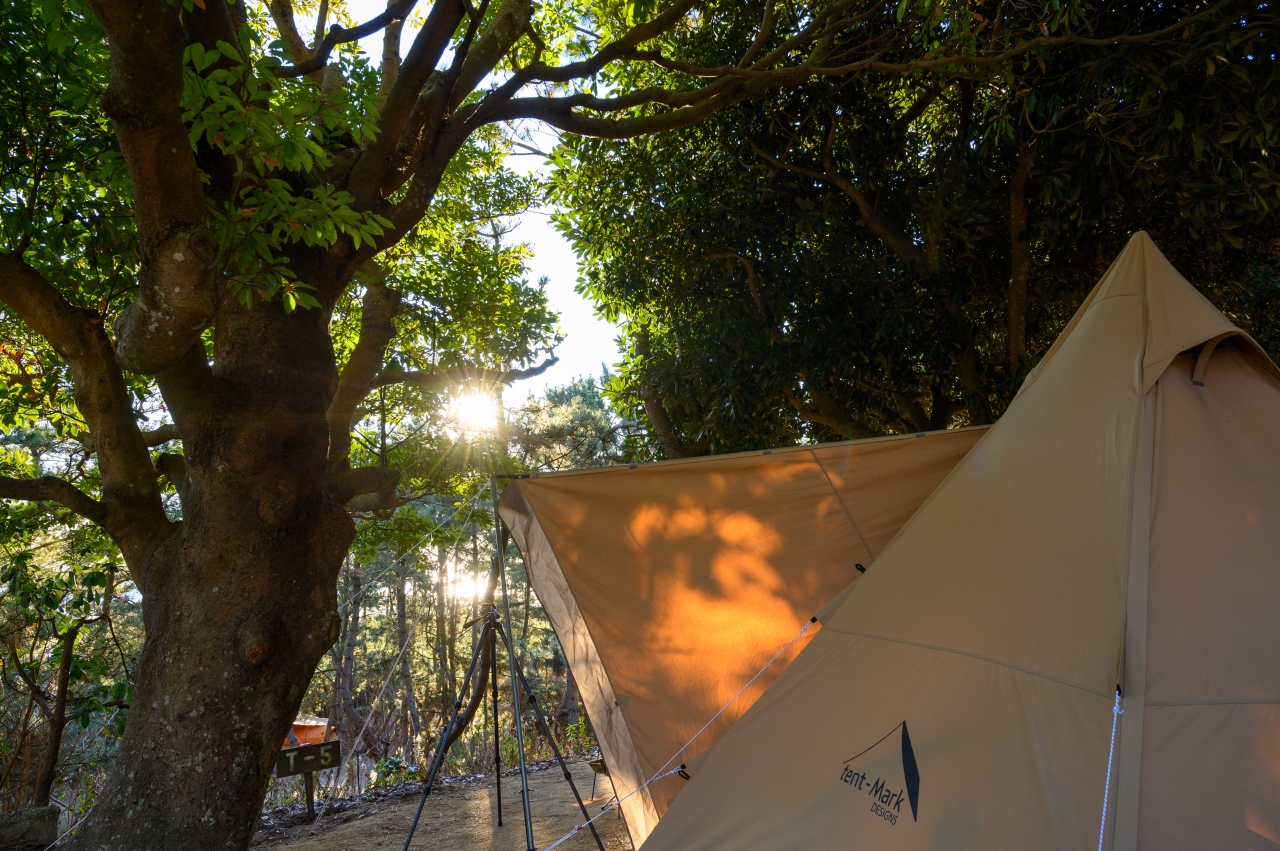 21年キャンプ始め 大洗サンビーチキャンプ場 茨城県の旅行記 ブログ By Tetu99samayoさん フォートラベル