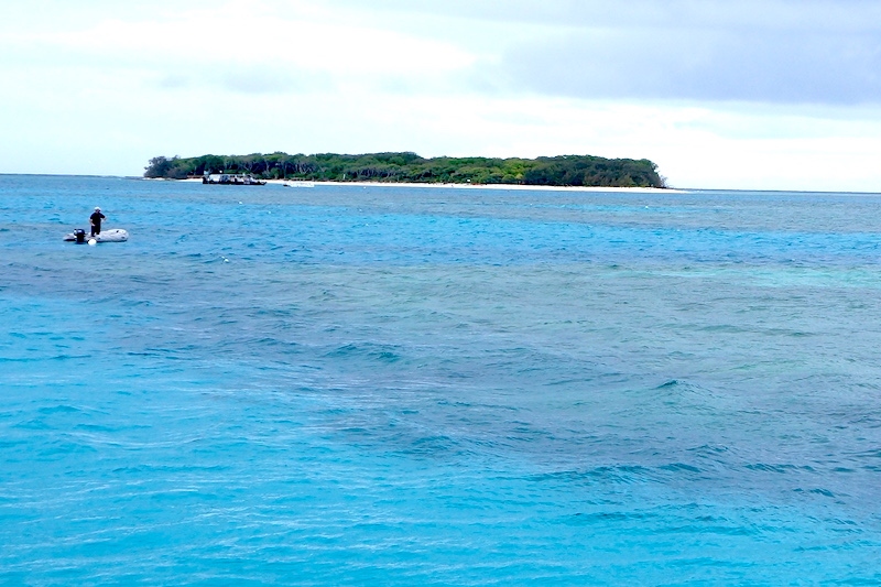 グレートバリアリーフ南部のマイナーな離島を巡る旅 Cruising Southern Great Barrier Reef グレートバリアリーフ周辺 オーストラリア の旅行記 ブログ By ノーーウォリーズさん フォートラベル グレートバリアリーフ南部のマイナーな離島を巡る旅 Cruising Southern Great Barrier Reef グレートバリアリーフ周辺 オーストラリア の旅行記 ブログ By ノーーウォリーズさん フォートラベル