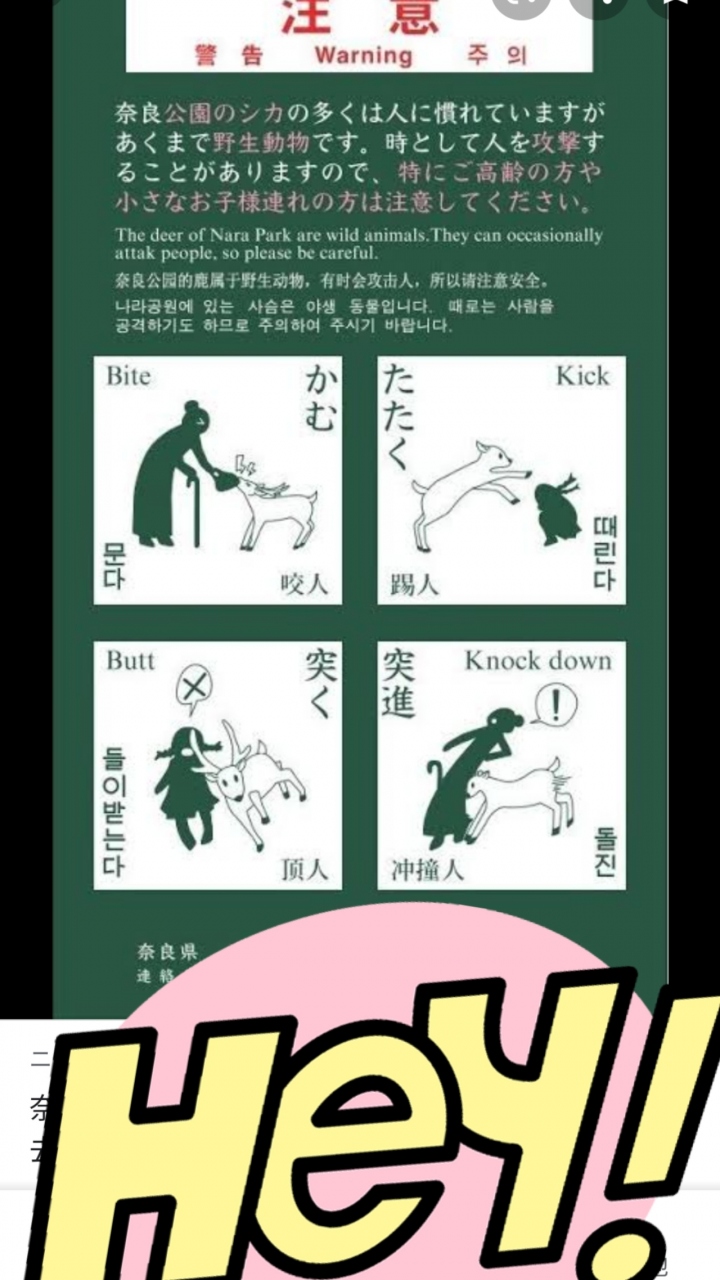 おのぼりさん 奈良を往く 1日目の1 興福寺 奈良市 奈良県 の旅行記 ブログ By Kummingさん フォートラベル おのぼりさん 奈良を往く 1日目の1 興福寺 奈良市 奈良県 の旅行記 ブログ By Kummingさん フォートラベル