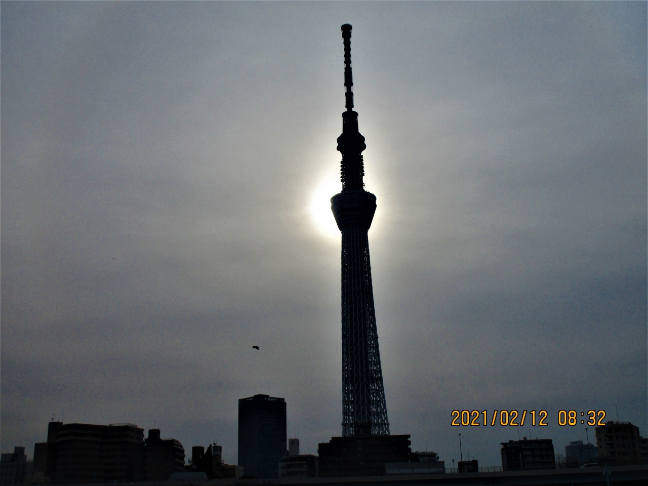 浅草 上野 深川のグルメ 東京スカイツリーの写真 浅草 東京 の旅行記 ブログ By Mountさん フォートラベル 浅草 上野 深川のグルメ 東京スカイツリーの写真 浅草 東京 の旅行記 ブログ By Mountさん フォートラベル