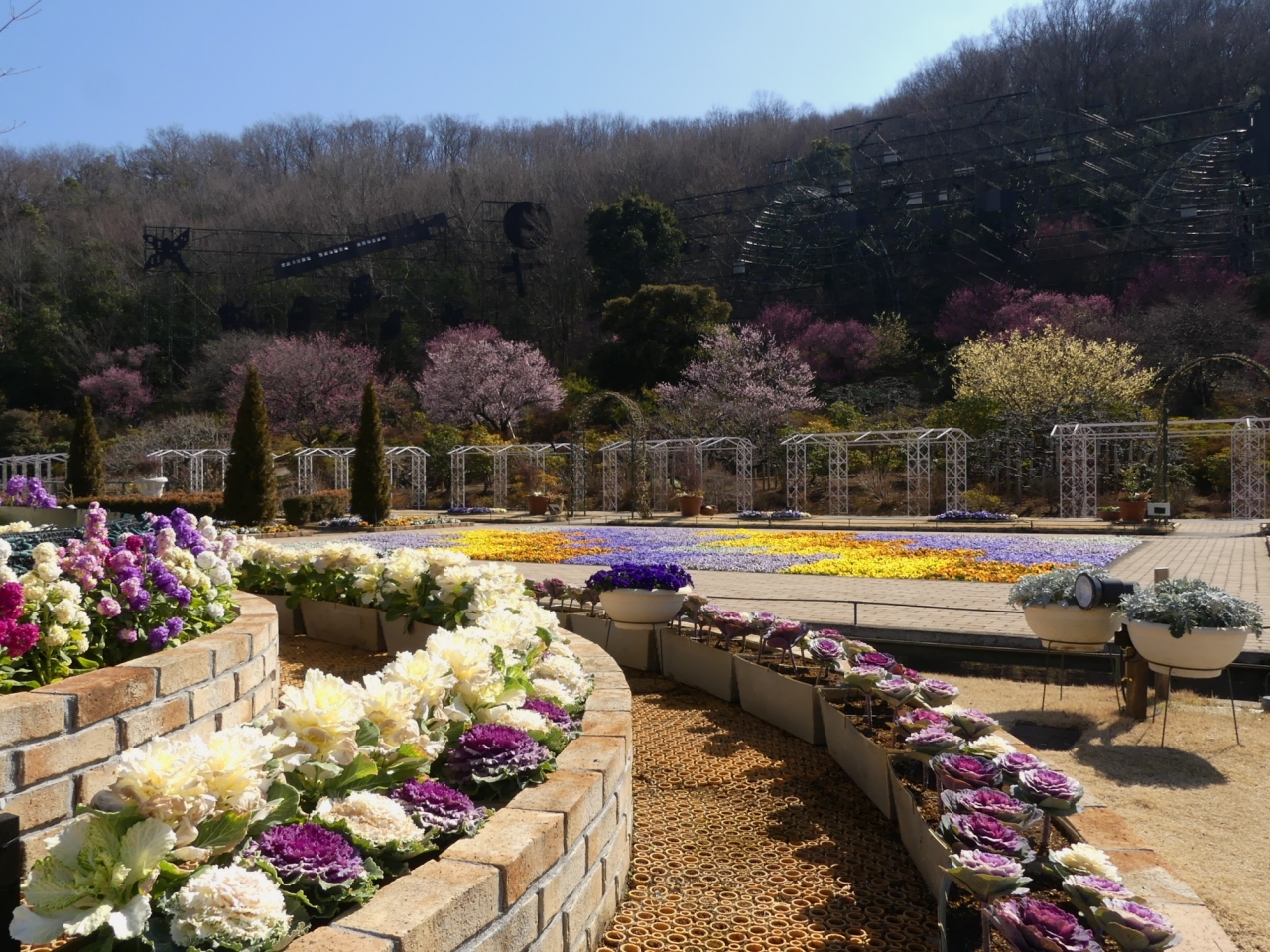 あしかがフラワーパーク の早春の花 21 蝋梅 紅梅 白梅は見頃後半 冬ボタンで賑わう 栃木県 足利市 足利 栃木県 の旅行記 ブログ By Minamicazeさん フォートラベル あしかがフラワーパーク の早春の花 21 蝋梅 紅梅 白梅は見頃後半 冬ボタンで賑わう 栃木県 足利市 足利 栃木県 の旅行記 ブログ By Minamicazeさん フォートラベル