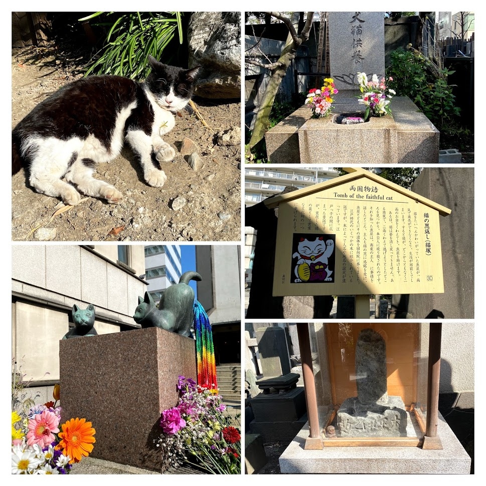 ニャンニャンニャンの2月22日 今日は猫の日 では 両国回向院で鼠の横の猫塚を見たお話 両国 東京 の旅行記 ブログ By バロンさん フォートラベル ニャンニャンニャンの2月22日 今日は猫の日 では 両国回向院で鼠の横の猫塚を見たお話 両国 東京 の旅行記 ブログ By バロンさん フォートラベル