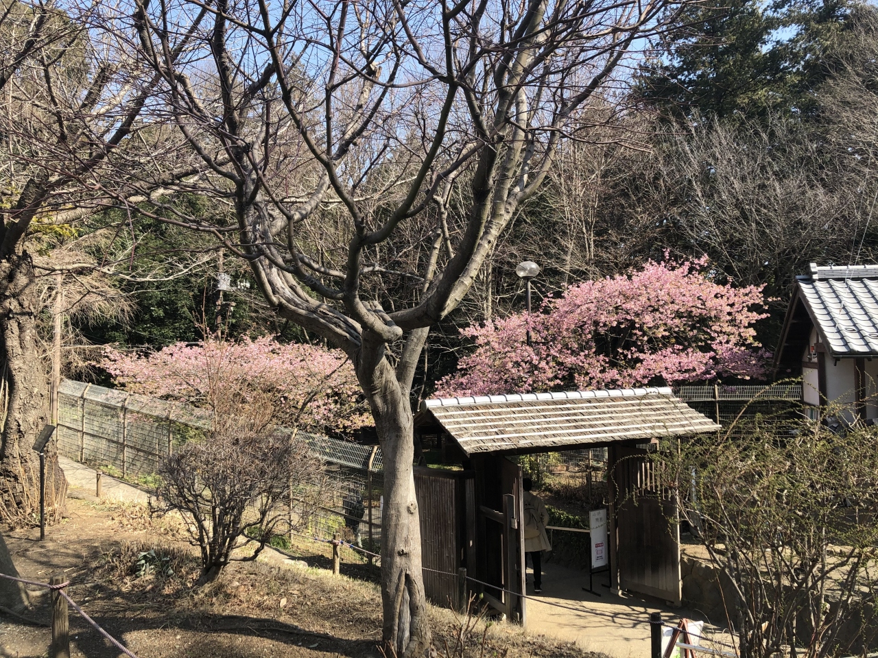 神奈川 大和の自然散策 ふれあいの森 泉の森 大和 神奈川県 の旅行記 ブログ By すけさん フォートラベル 神奈川 大和の自然散策 ふれあいの森 泉の森 大和 神奈川県 の旅行記 ブログ By すけさん フォートラベル