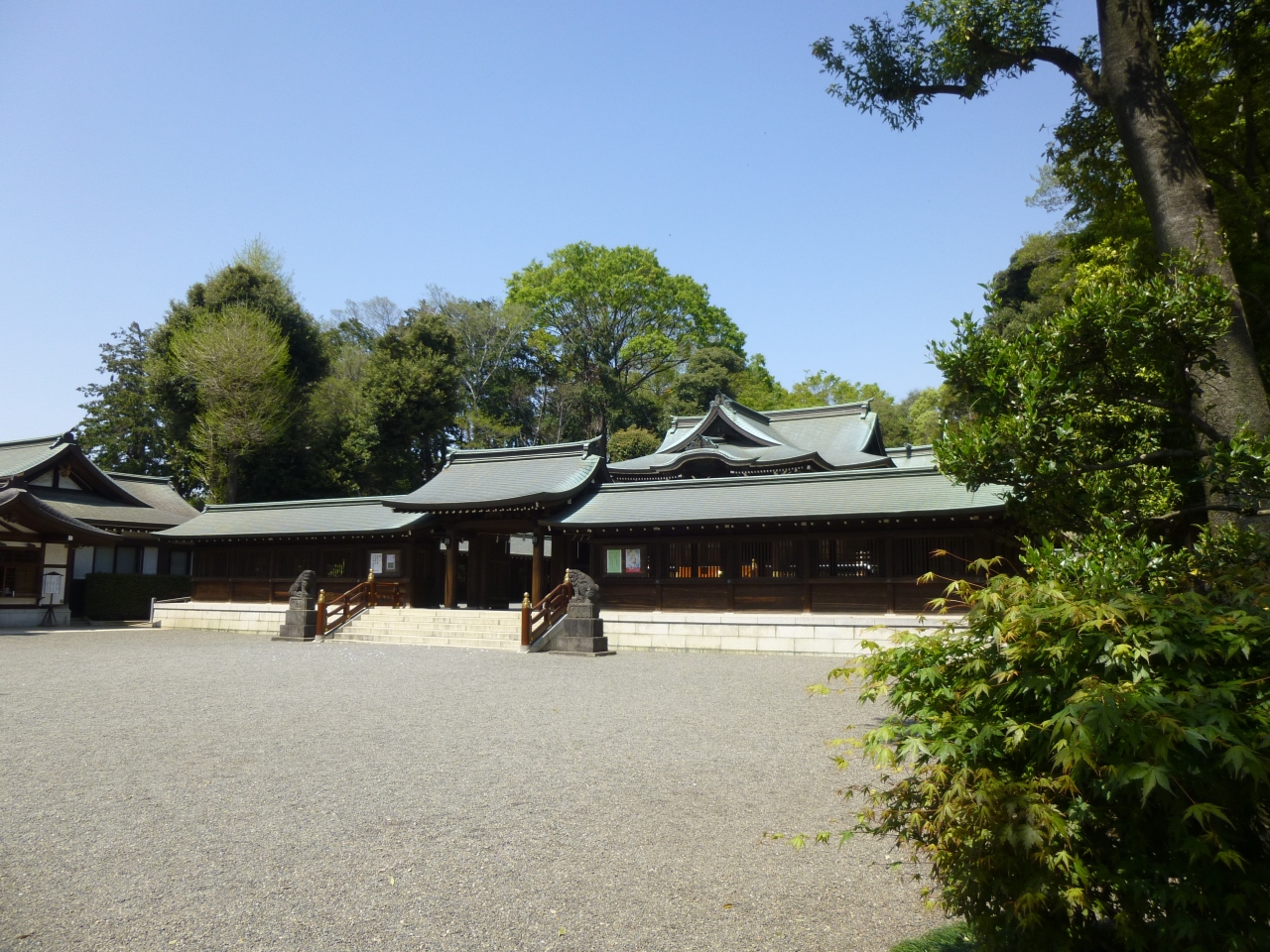 桜と八幡様 サイクリング散歩 In 荻窪 井草 ボートで湖上散歩も 荻窪 西荻窪 東京 の旅行記 ブログ By Tonaさん フォートラベル