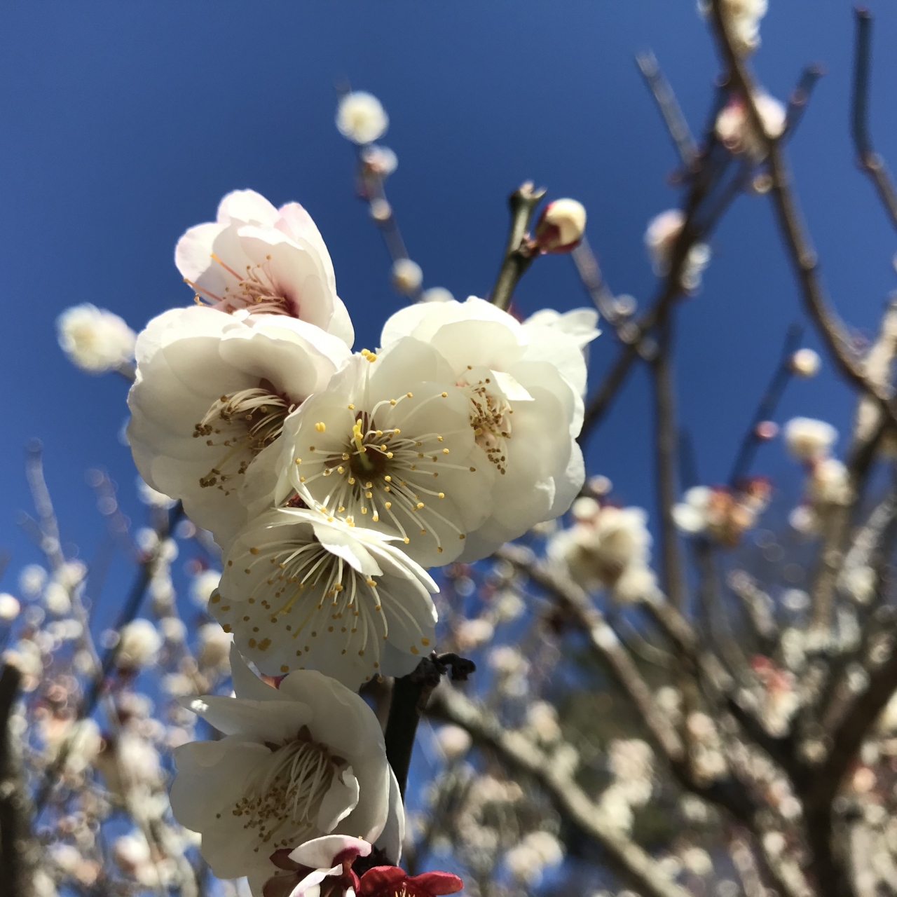 21年静岡 まったり熱海1 2 熱海 静岡県 の旅行記 ブログ By Mochimochi Kingdomさん フォートラベル 21年静岡 まったり熱海1 2 熱海 静岡県 の旅行記 ブログ By Mochimochi Kingdomさん フォートラベル