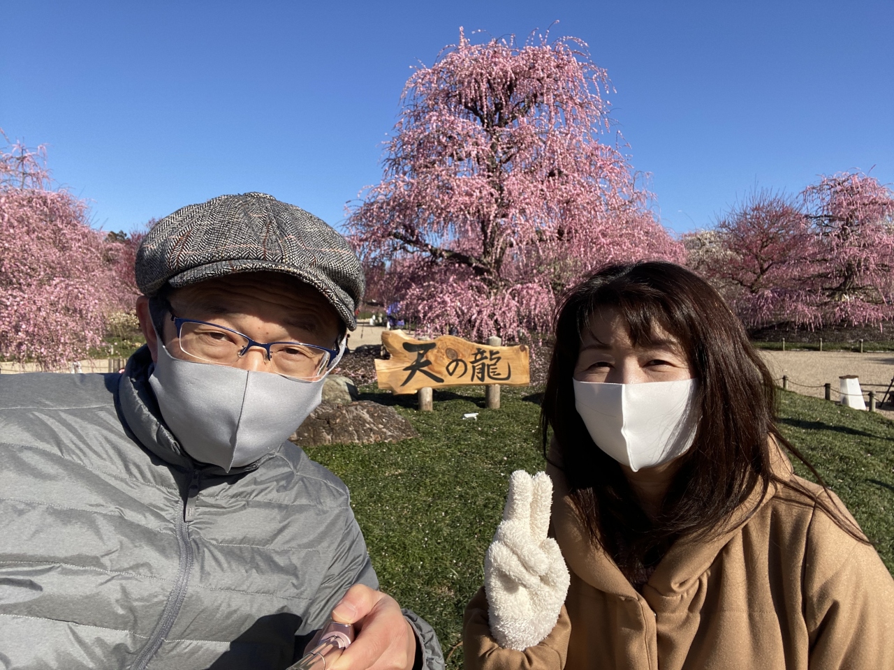 21 3 3鈴鹿の森庭園しだれ梅まつり お昼は初音 鈴鹿 三重県 の旅行記 ブログ By ぱぺぱぺさん フォートラベル 21 3 3鈴鹿の森庭園しだれ梅まつり お昼は初音 鈴鹿 三重県 の旅行記 ブログ By ぱぺぱぺさん フォートラベル