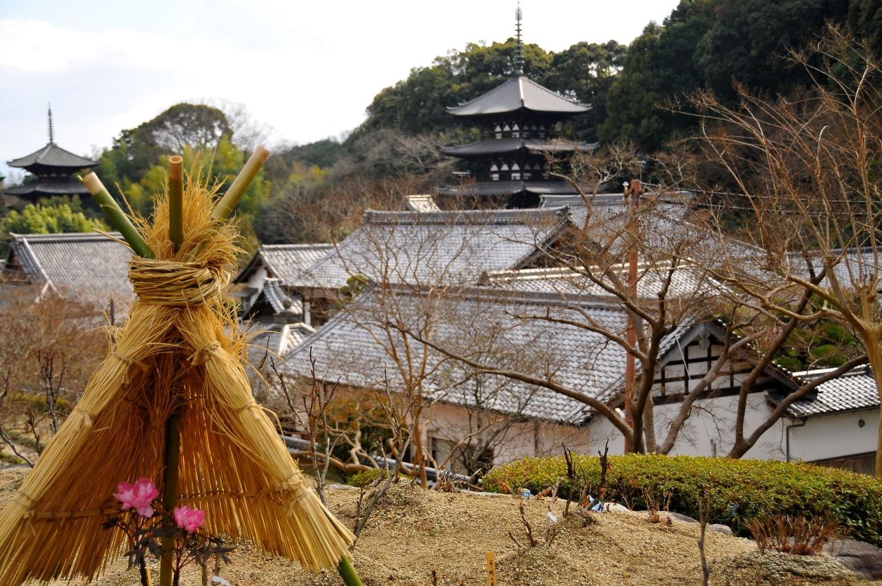 冬牡丹に誘われ なぞ多き 二上山の麓当麻寺 たいまでら へ 御所 葛城 奈良県 の旅行記 ブログ By 雪月花さん フォートラベル 冬牡丹に誘われ なぞ多き 二上山の麓当麻寺 たいまでら へ 御所 葛城 奈良県 の旅行記 ブログ By 雪月花さん フォートラベル