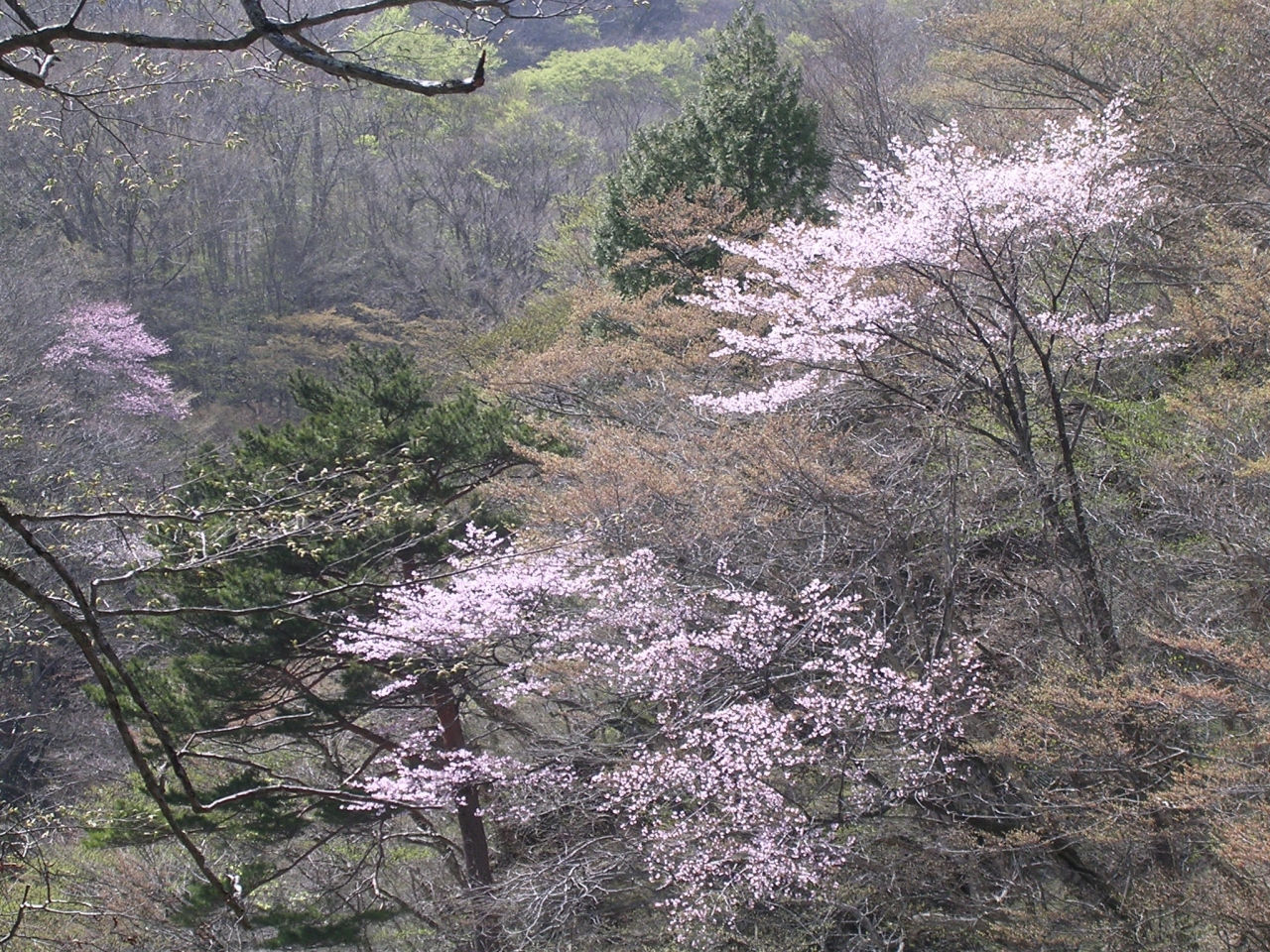 07gw 東北温泉2泊3日 峩々温泉 鷲倉温泉 福島県の旅行記 ブログ By Batfishさん フォートラベル 07gw 東北温泉2泊3日 峩々温泉 鷲倉温泉 福島県の旅行記 ブログ By Batfishさん フォートラベル