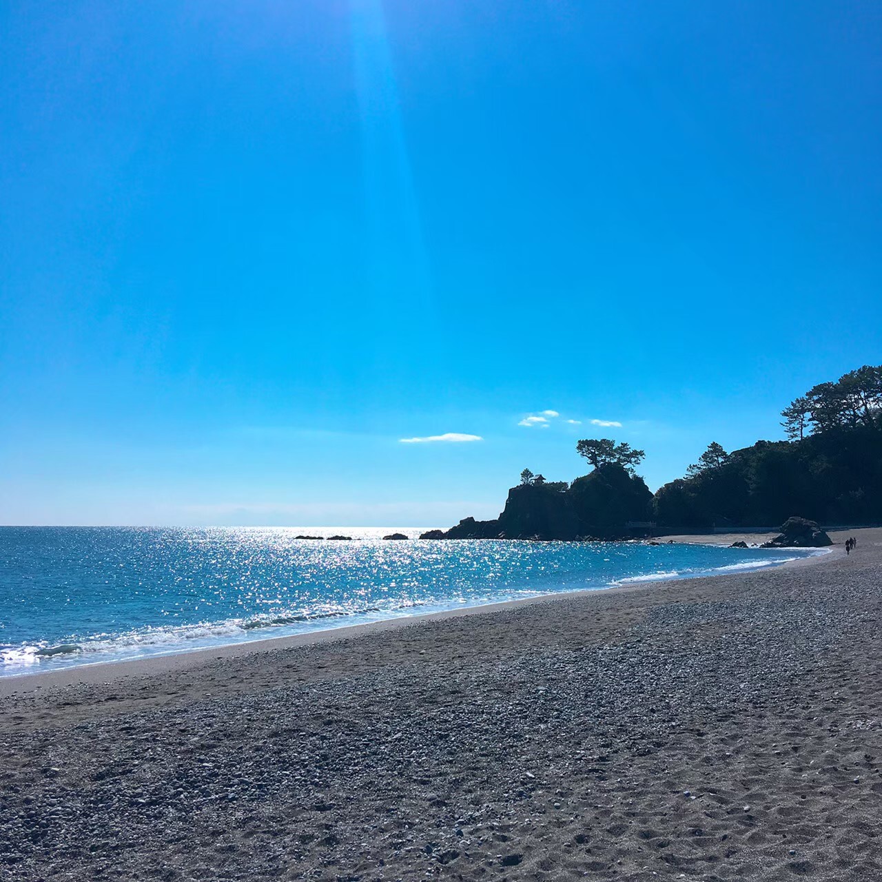 弾丸旅行 一泊二日 関西発の週末高知旅行 2日目 高知市 高知県 の旅行記 ブログ By かつおさん フォートラベル 弾丸旅行 一泊二日 関西発の週末高知旅行 2日目 高知市 高知県 の旅行記 ブログ By かつおさん フォートラベル