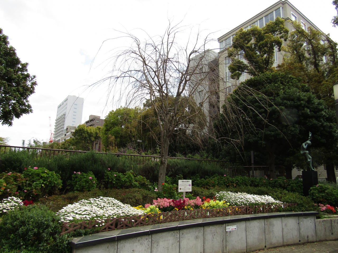 大通り公園 緑の森 横浜 神奈川県 の旅行記 ブログ By ドクターキムルさん フォートラベル