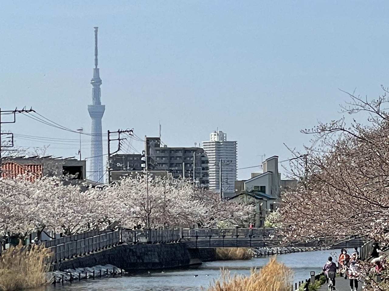 天気 江戸川 区