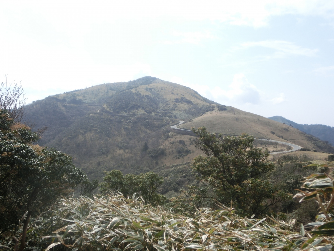 21春 伊豆 富士山は薄かった 富士山の見える山 金冠山と達磨山と戸田港 戸田 静岡県 の旅行記 ブログ By はんけんさん フォートラベル