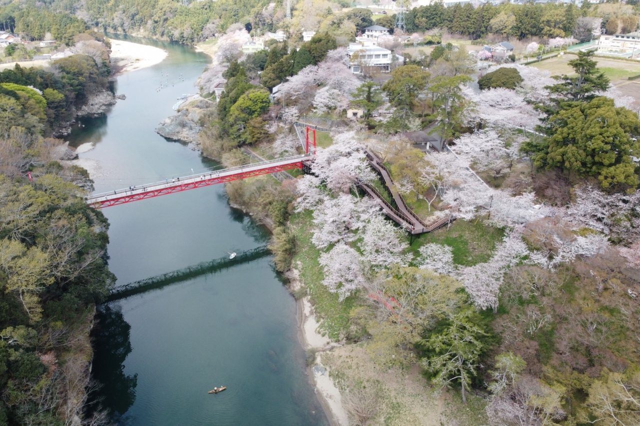 新城にある桜淵公園で和船を漕いできました 新城 愛知県 の旅行記 ブログ By ３８うさぎさん フォートラベル