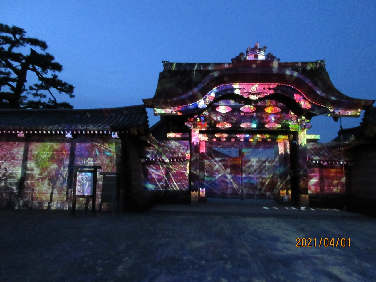 二条城桜まつり 21 二条 烏丸 河原町 京都 の旅行記 ブログ By Kubochanさん フォートラベル 二条城桜まつり 21 二条 烏丸 河原町 京都 の旅行記 ブログ By Kubochanさん フォートラベル