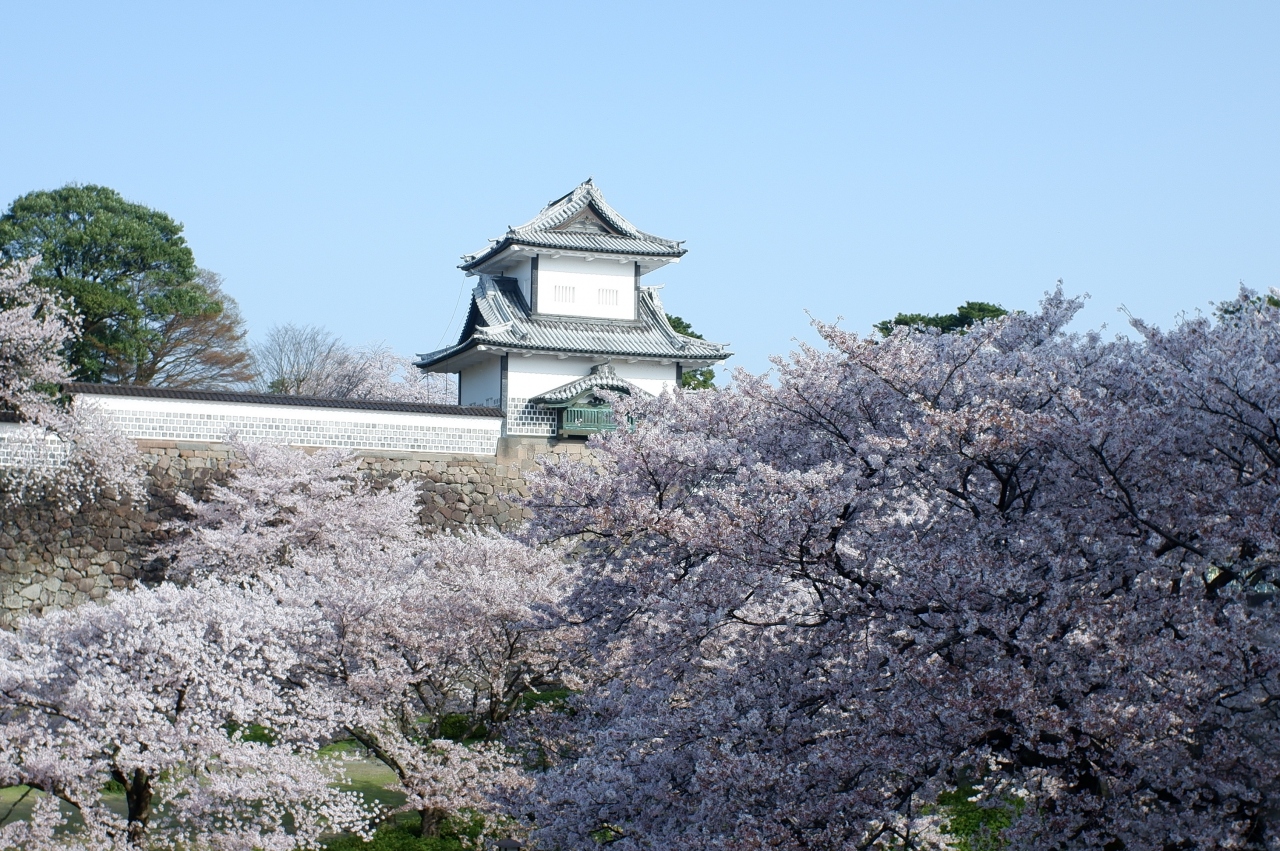 春の兼六園と金沢城 金沢 石川県 の旅行記 ブログ By Miyatanさん フォートラベル