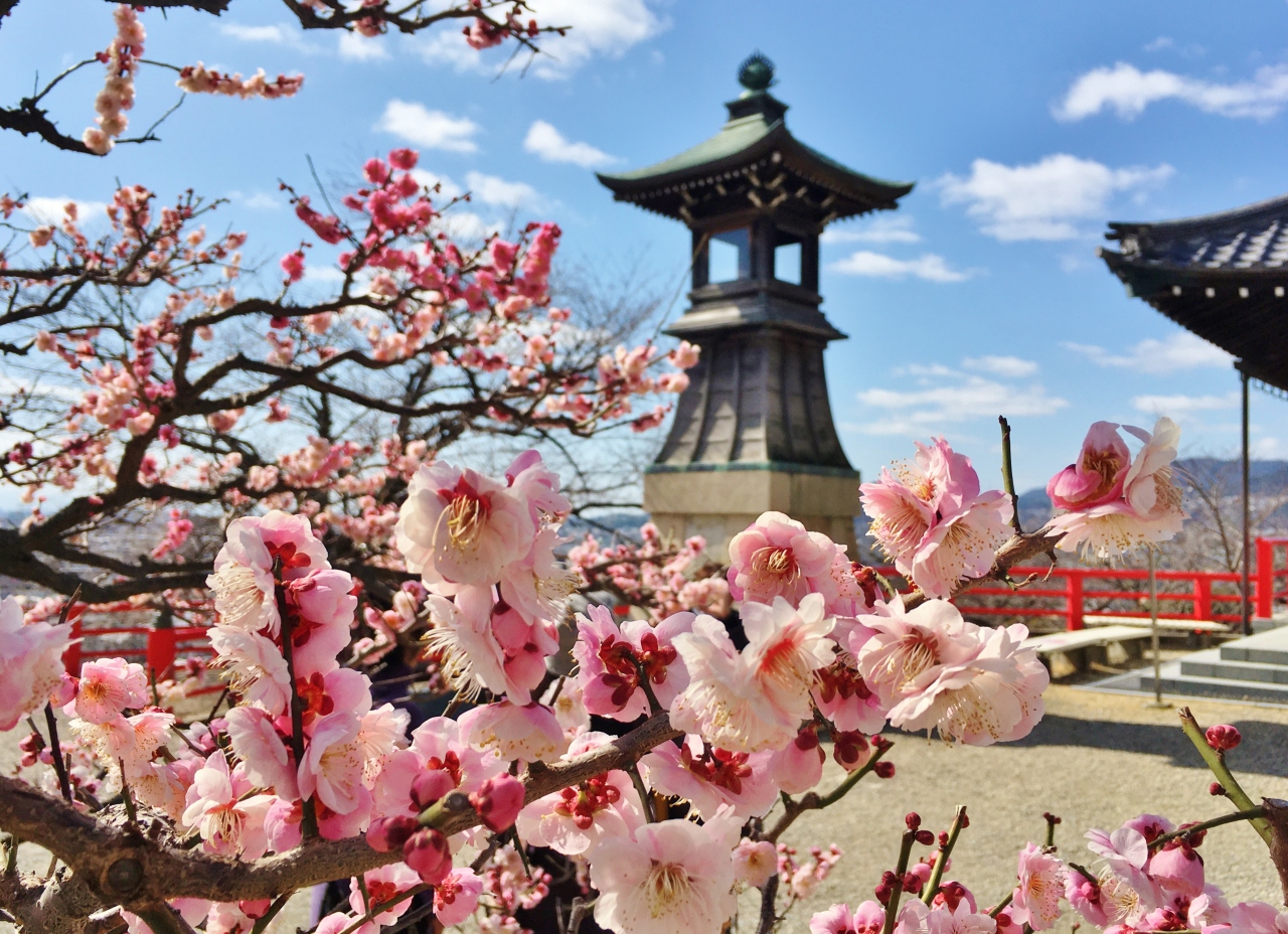 春の兆し感じる梅満開の中山寺 清荒神へお参り 宝塚 兵庫県 の旅行記 ブログ By Sahraさん フォートラベル