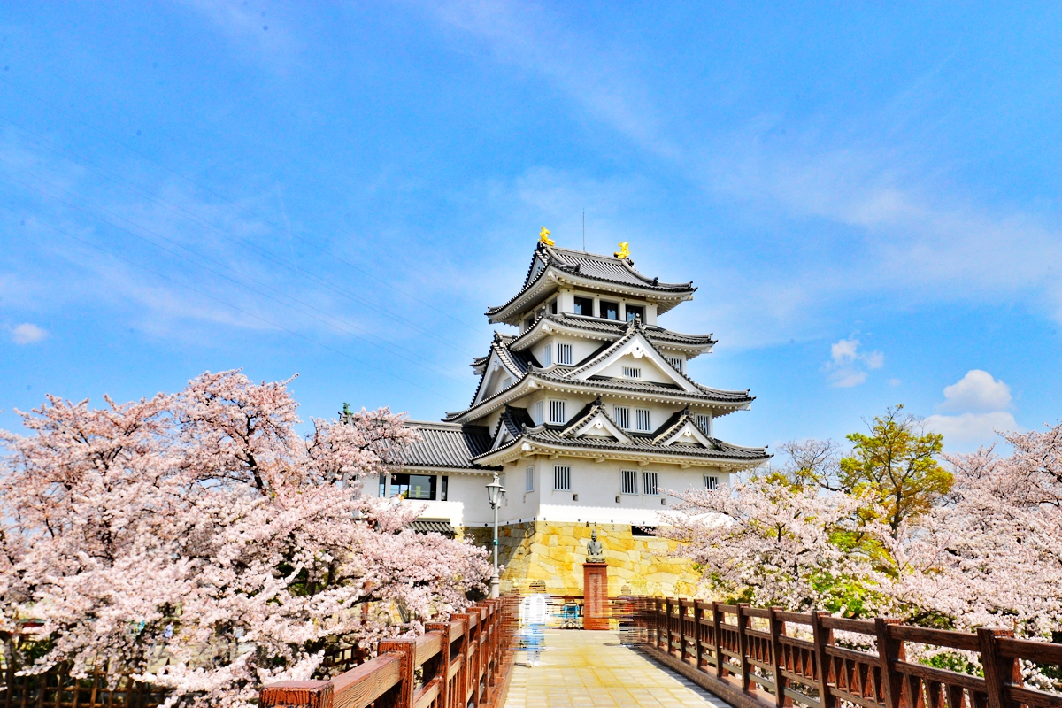犀川沿い一帯から墨俣一夜城址公園の桜並木のトンネル 大垣 岐阜県 の旅行記 ブログ By 風に吹かれて旅人さん フォートラベル