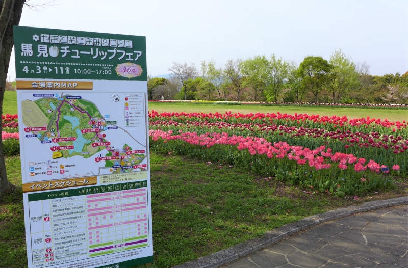 チューリップフェア 馬見丘陵公園 奈良県の旅行記 ブログ By Canadianさん フォートラベル