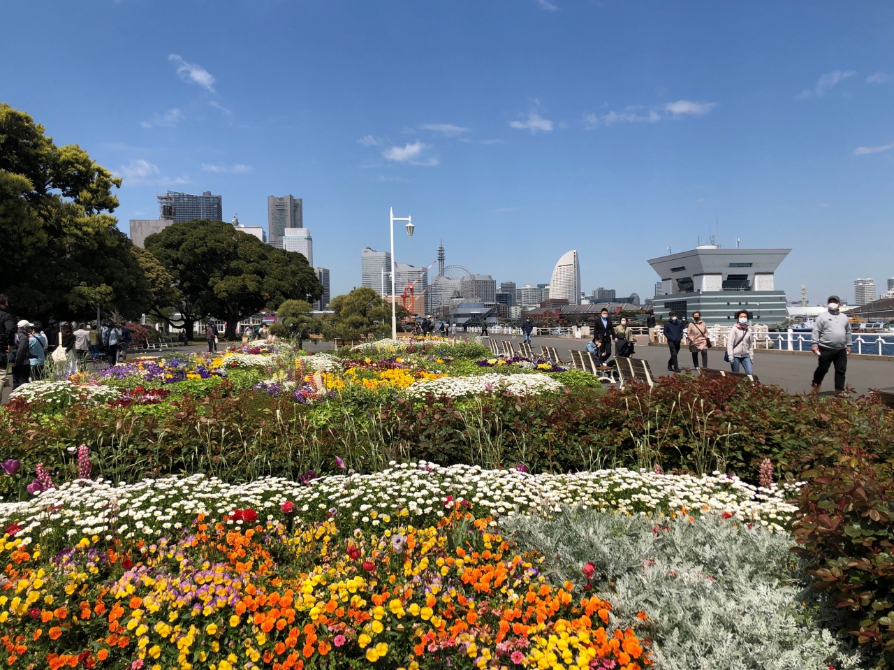 よこはま花と緑のスプリングフェア２０２１ で 花のお散歩 横浜 神奈川県 の旅行記 ブログ By すけさん フォートラベル