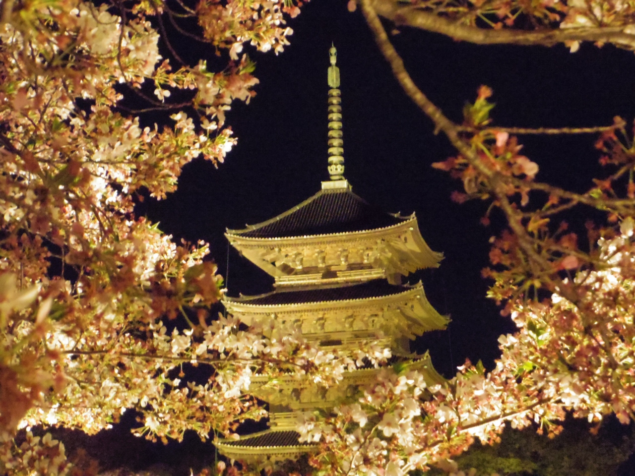 21年4月 京都と奈良でお花見 １ 京都の変なホテルと東寺夜桜ライトアップ 夜間特別拝観 京都駅周辺 京都 の旅行記 ブログ By 夏への扉さん フォートラベル