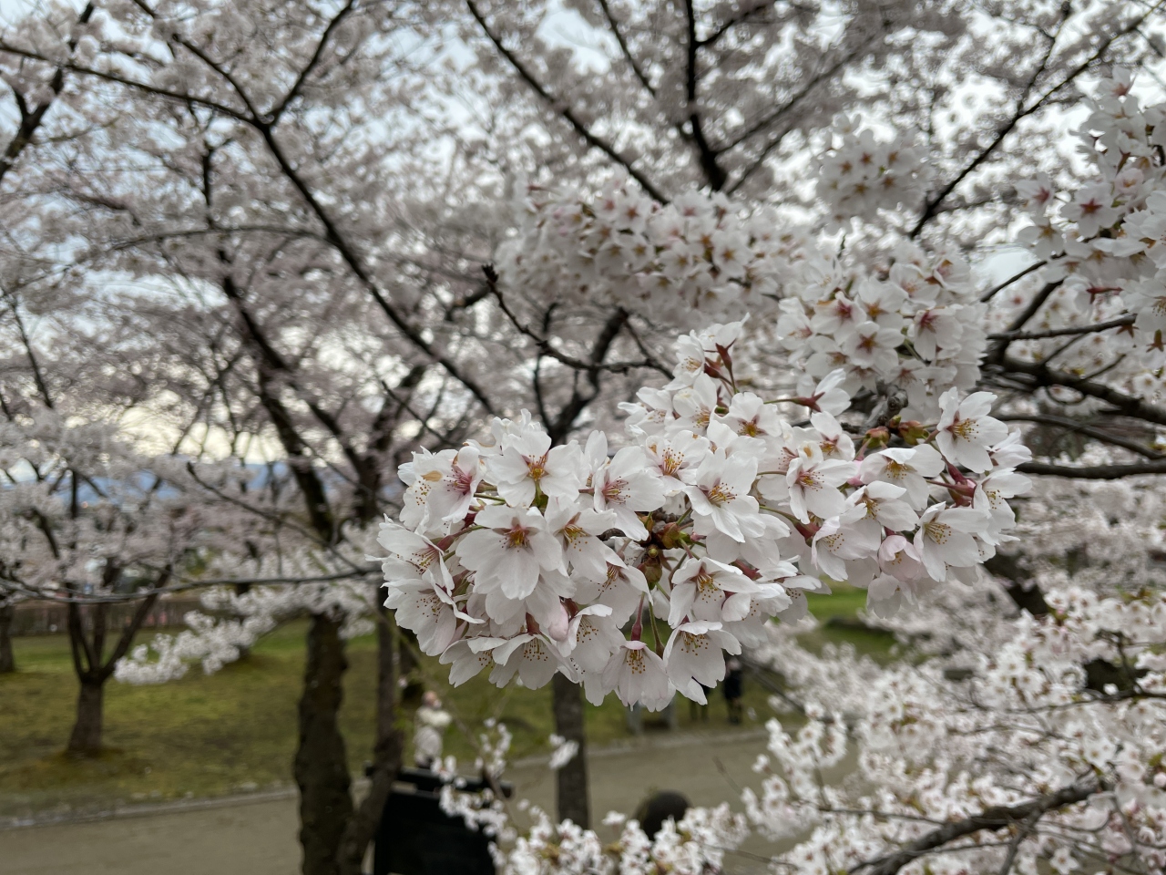 21年 東北の温泉 D 小岩井農場 盛岡 岩手県の旅行記 ブログ By まさとしさん フォートラベル