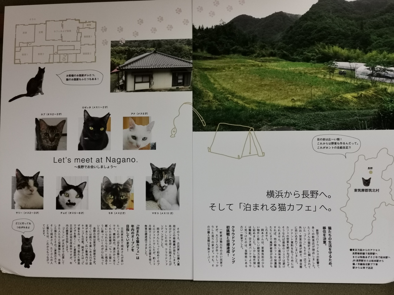 泊まれる猫カフェ 長野県の旅行記 ブログ By 青蛙さん フォートラベル