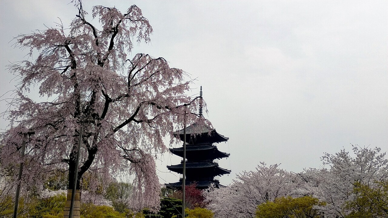 京都駅周辺 徒歩で巡る東本願寺 西本願寺 東寺 京都駅周辺 京都 の旅行記 ブログ By ともちんさん フォートラベル 京都駅周辺 徒歩で巡る東本願寺 西本願寺 東寺 京都駅周辺 京都 の旅行記 ブログ By ともちんさん フォートラベル