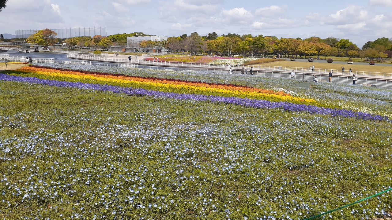 東海道本線普通列車と臨時路線バスで行く浜名湖ガーデンパークの花を楽しむ日帰り旅 前編 静岡県の旅行記 ブログ By フロンティアさん フォートラベル 東海道本線普通列車と臨時路線バスで行く浜名湖ガーデンパークの花を楽しむ日帰り旅 前編 静岡県の旅行記 ブログ By フロンティアさん フォートラベル