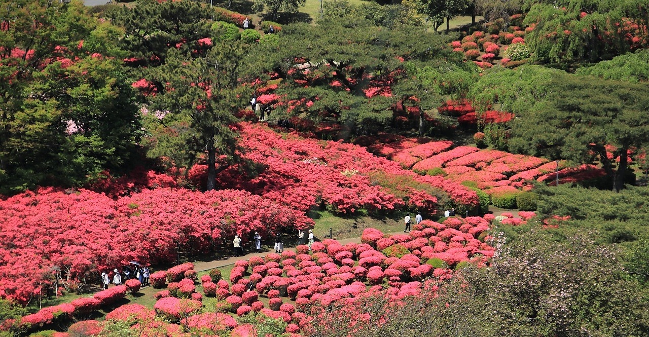 小室山のつつじが満開見頃を迎えています 伊豆高原 静岡県 の旅行記 ブログ By ヒゲハゲさん フォートラベル