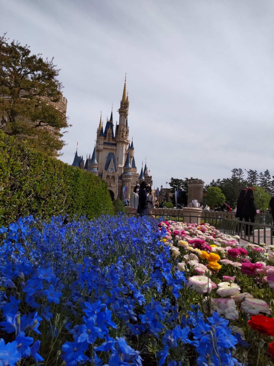 東京ディズニーランド 東京ベイ舞浜ホテル宿泊4月24日 東京ディズニーリゾート 千葉県 の旅行記 ブログ By Amさん フォートラベル