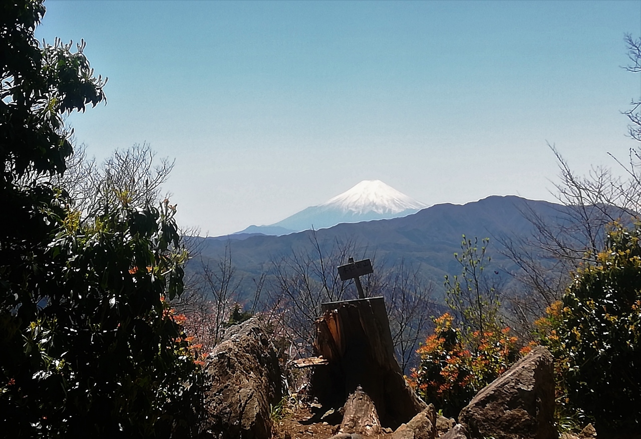 新緑の奥多摩 本仁田山に登ってみた 奥多摩 東京 の旅行記 ブログ By Xindeさん フォートラベル 新緑の奥多摩 本仁田山に登ってみた 奥多摩 東京 の旅行記 ブログ By Xindeさん フォートラベル