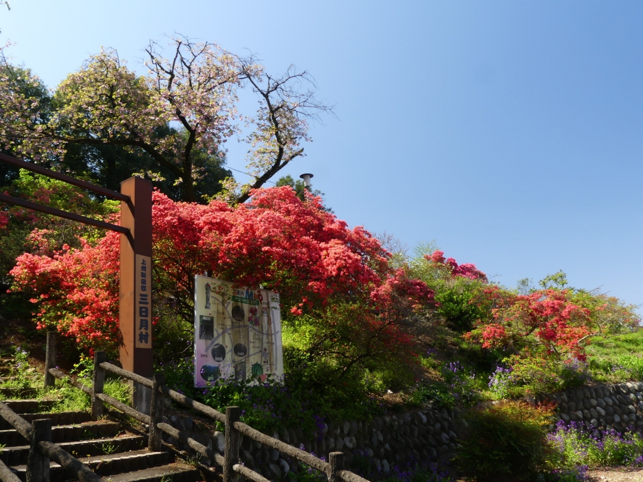 つつじ山公園 のツツジ 21 開花が進んでいますが 自然体です 太田市 薮塚 太田 群馬県 の旅行記 ブログ By Minamicazeさん フォートラベル