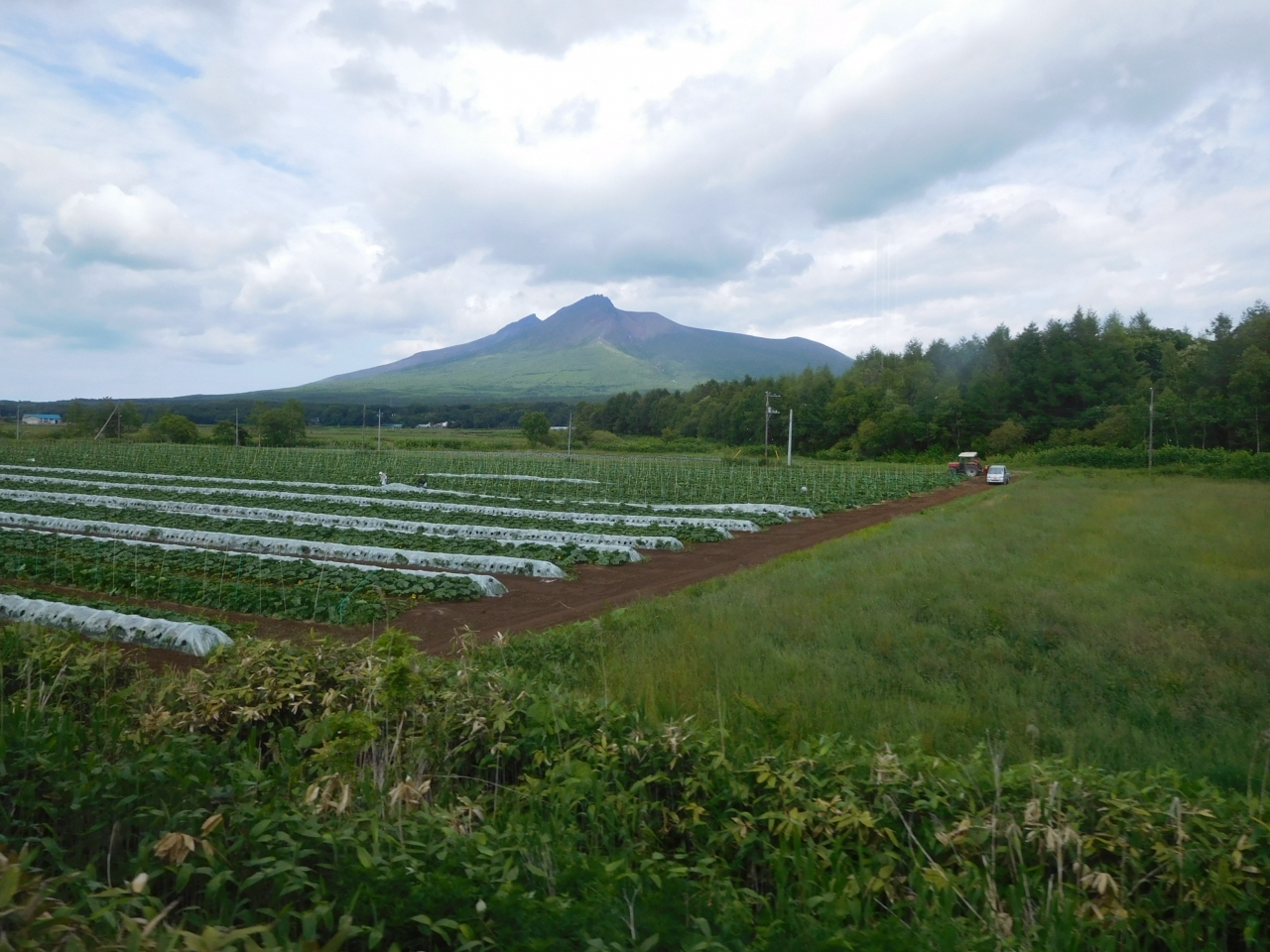 北海道フリーパスの旅 Day2その2 大沼公園 小幌 虻田 豊浦 北海道 の旅行記 ブログ By Riverさん フォートラベル 北海道フリーパスの旅 Day2その2 大沼公園 小幌 虻田 豊浦 北海道 の旅行記 ブログ By Riverさん フォートラベル