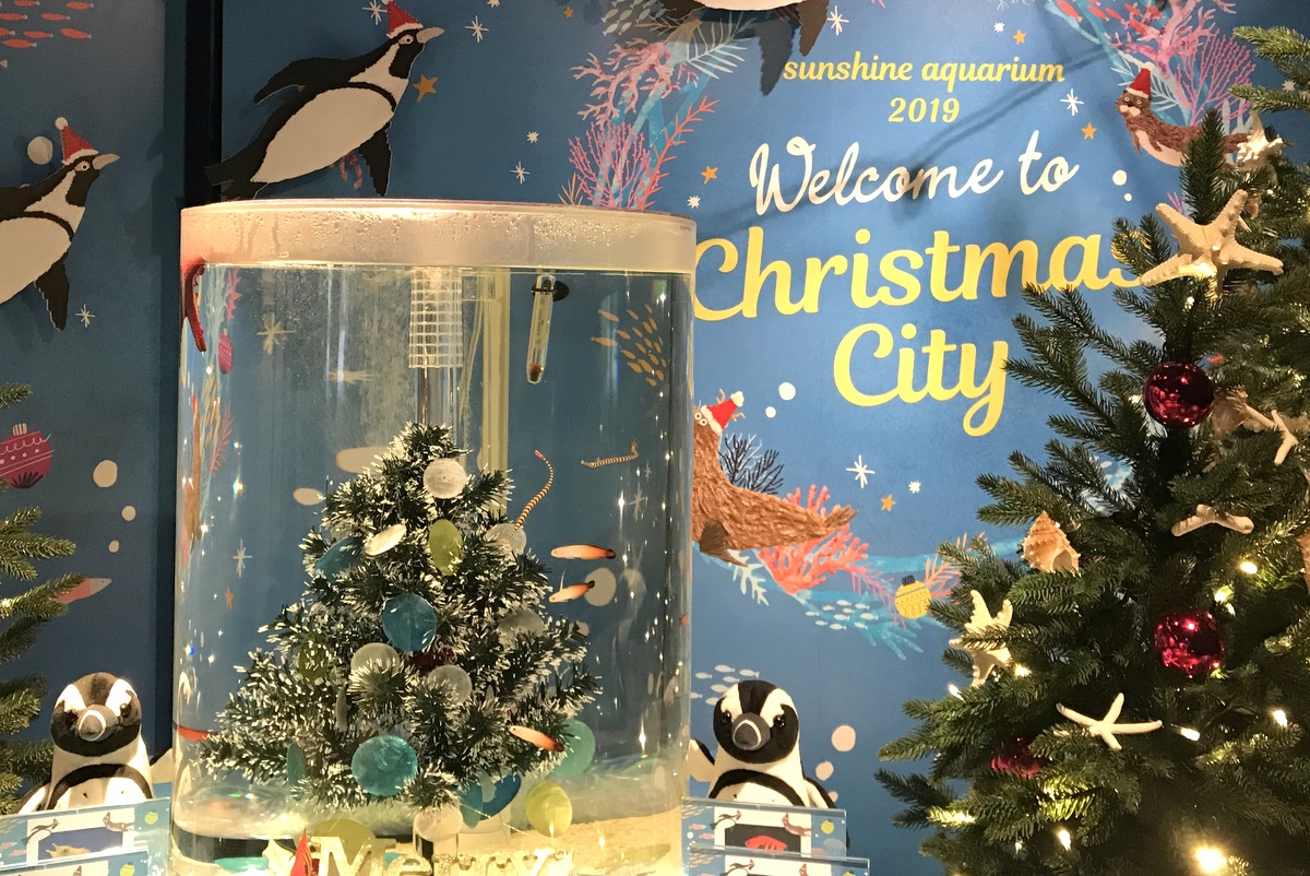 おさんぽ水族館ログ サンシャイン水族館 19年12月 池袋 東京 の旅行記 ブログ By しろんさん フォートラベル おさんぽ水族館ログ サンシャイン水族館 19年12月 池袋 東京 の旅行記 ブログ By しろんさん フォートラベル