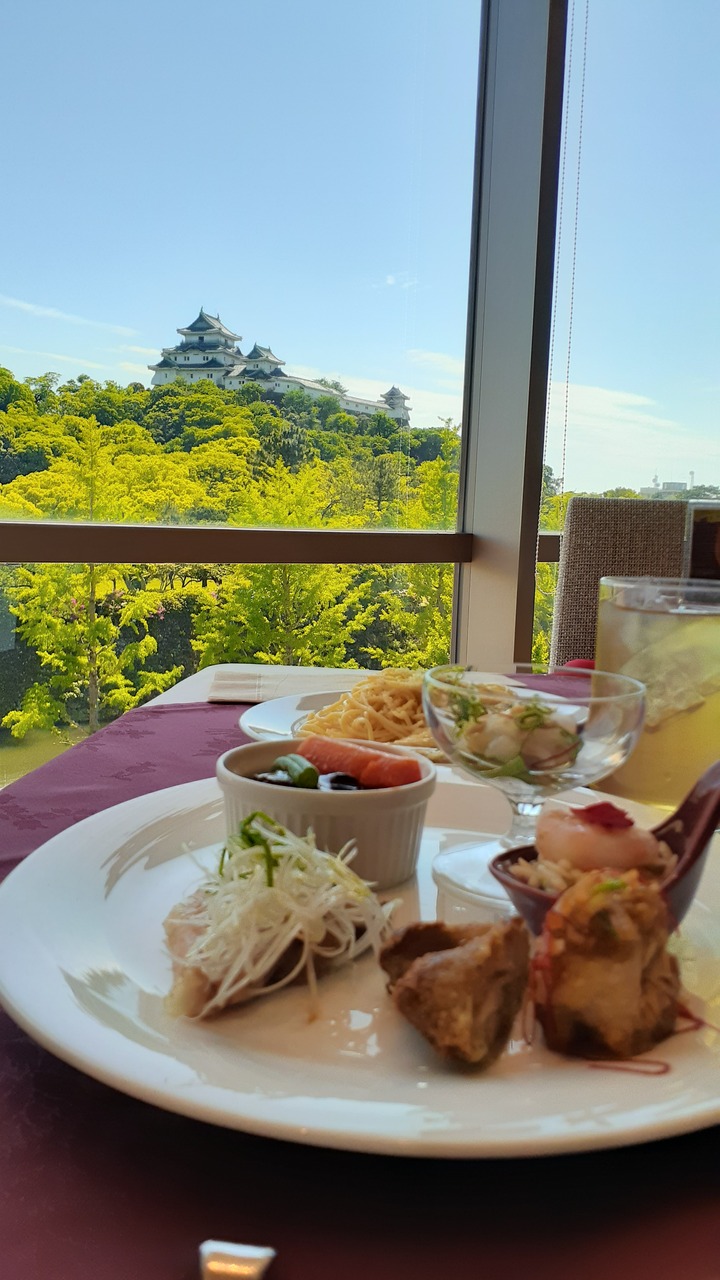 和歌山城とランチブッフェ 和歌山市 和歌山県 の旅行記 ブログ By あやのんさん フォートラベル