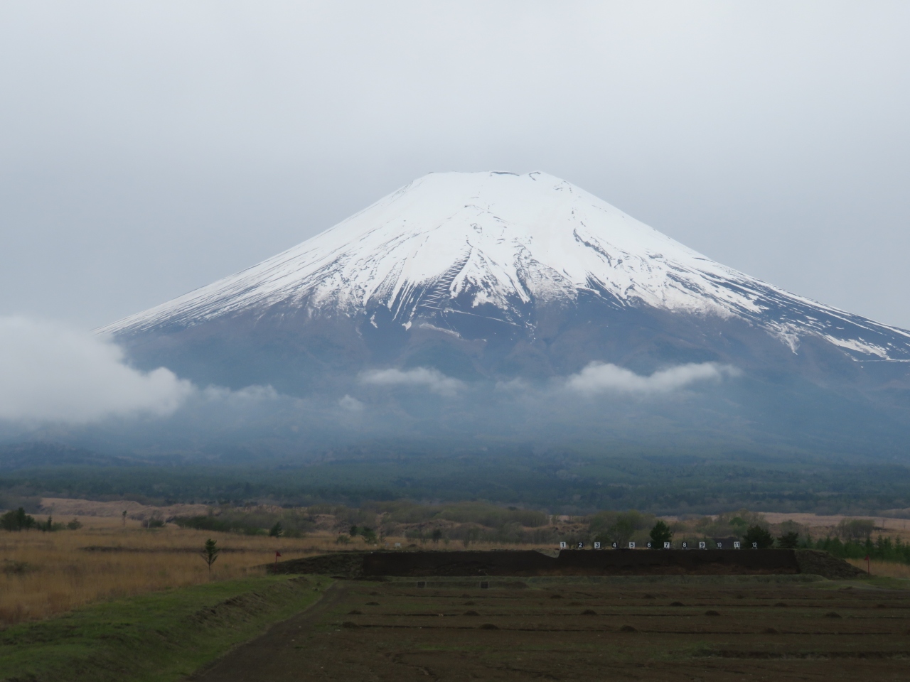 富士山でワラビ狩り 山梨県の旅行記 ブログ By K2さん フォートラベル