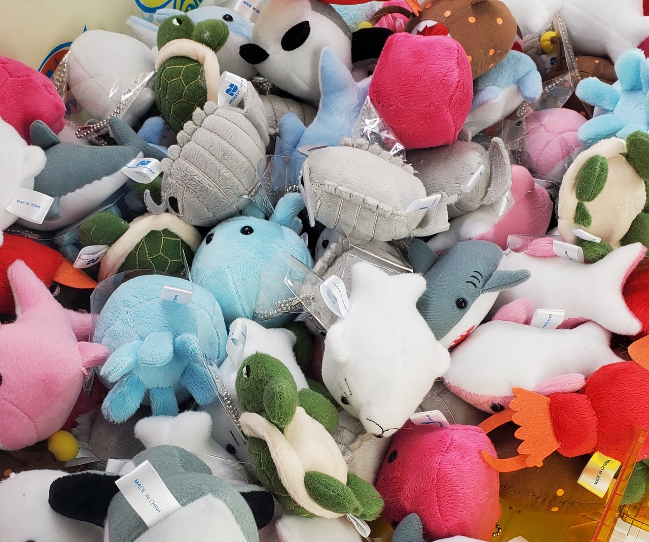 水族館にいこうシリーズ アクアリウムさがみはら 21 05 相模原 神奈川県 の旅行記 ブログ By Jioさん フォートラベル